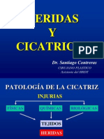 6 Copia de Heridas y Cicatrices