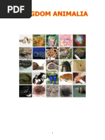 Download About Kingdom Animalia by Dyah Palupi SN23486357 doc pdf