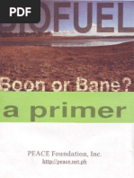 Download Biofuel boon or bane by Foundation for a Sustainable Society SN23487154 doc pdf