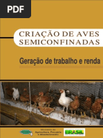 CT_08 Galinhas Caipiras