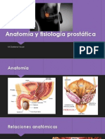 Anatomía y Fisiología Protática