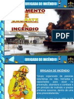 Brigada Incendio - Pps