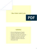 2013 Citric Acid Cycle