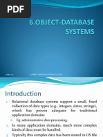 Object Database Systems