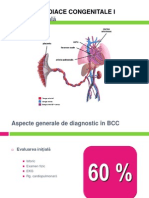 MCC Partea I 2013 Print1