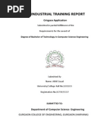 Industrial Training Report: Cricgaze Application