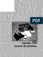 16 Control de Perdidas