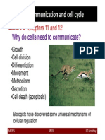 Cell Communication and Cell Cycle Cell Communication and Cell Cycle