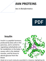 Human Proteins: Notes in Bioinformatics