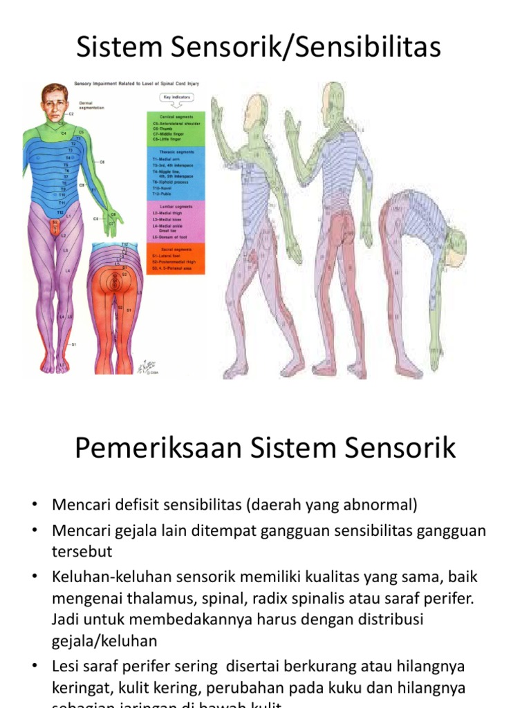 Pemeriksaan Sistem Sensorik Lengkap | PDF