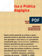 Pesquisa e Prática Pedagógica