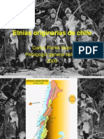 Etnias Originarias de Chile 1224038848255997 8
