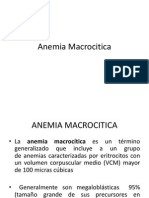 Anemia Macrocitica