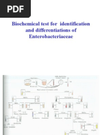 Biochemical Test For Identification and Differentiations of Enterobacteriaceae