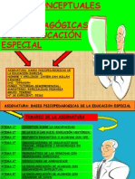 Bases Psicopedagógicas de La Educación Especial