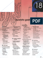 Aparato Gastrointestinal