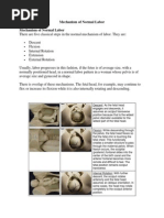 Fetal Positions and Adaptations | PDF | Pelvis | Childbirth