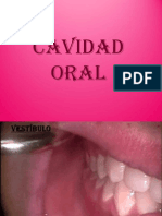 Cavidad Oral