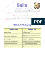 Prokaryotes Vs Eukaryotes