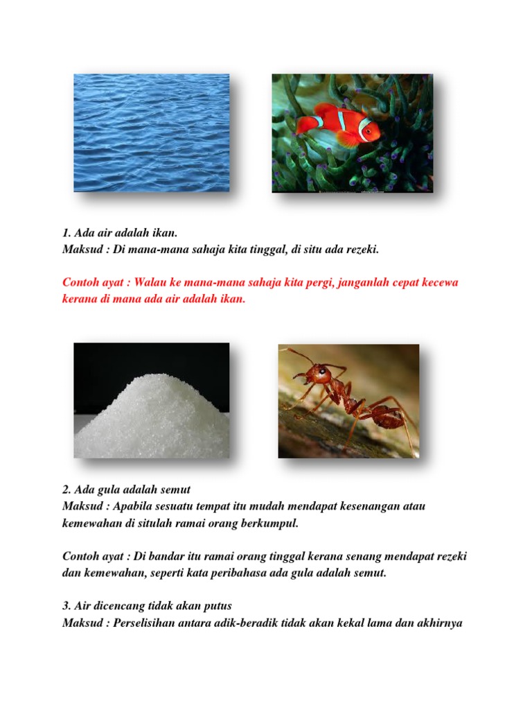 Peribahasa Bergambar Pdf