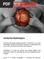 Anatomia Radiológica Punho e Mão