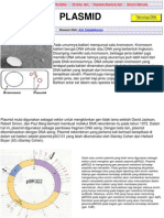 Plasmid PDF