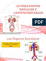 Alteraciones Renales y Genitourinarias