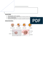 Antral Folliculogenesis - Reproduction