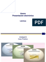 Proceso Auditoria Ambiental PNAA-PROFEPA - 2013.pps