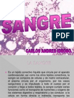 Tutoria Sangre Hematopoyesis