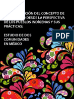 sistematizacion_del_concepto_de_desarrollo_perspectiva_pueblos_indigenas.pdf