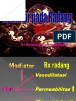 Mediator Radang