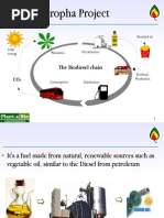 Download Projeto Biodiesel Jatropha by lcardoso SN2350114 doc pdf