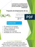 Anteproyecto Ley Probosque (Presentación)