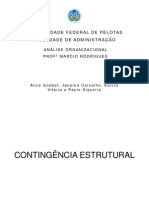 Análise da Teoria da Contingência Estrutural