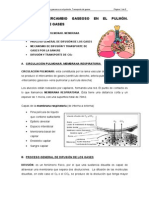 Tema II. Intercambio Gaseoso en El Pulmón. Trasnporte de Gases