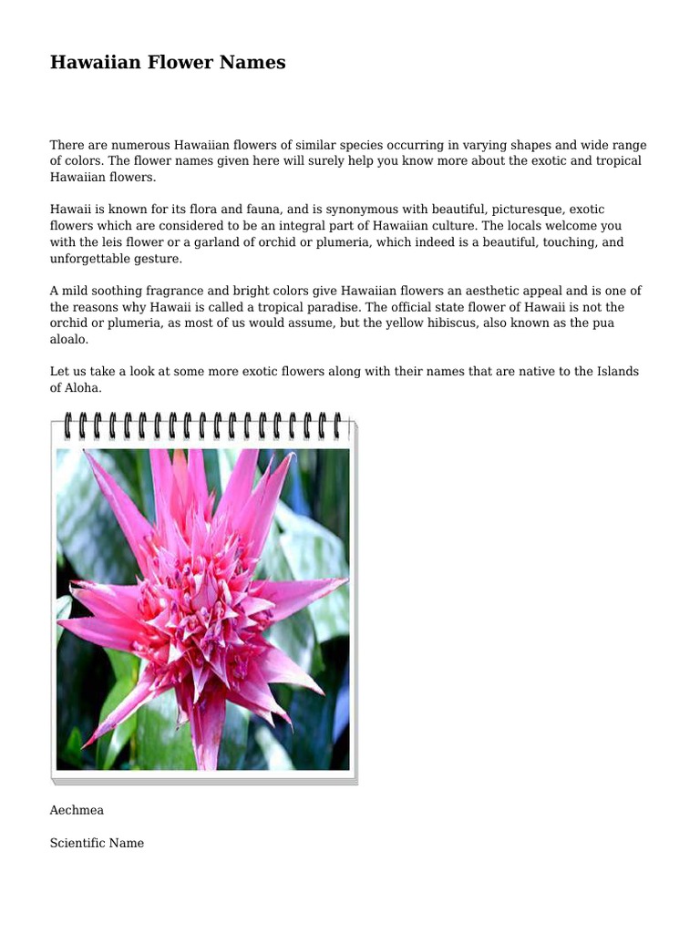Hawaiian Flower Names PDF