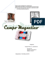 Campo Magnetico - Yonatan Perez - Fisica II