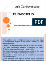 EL ENDOTELIO- Dr nakandakare.pptx