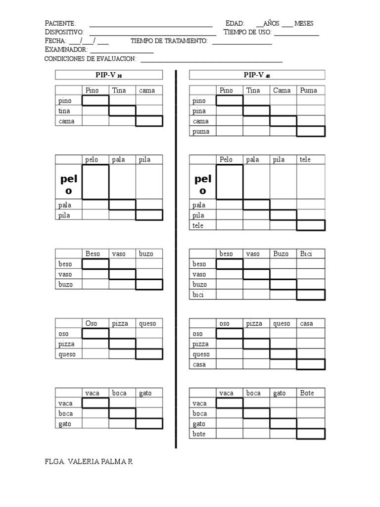 PIP V Formato | PDF