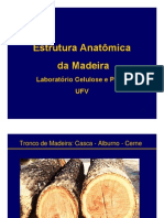 Arquivo 01. Estrutura Anatômica e Densidade Da Madeira