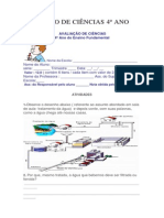 Valiação de Ciências 4º Ano
