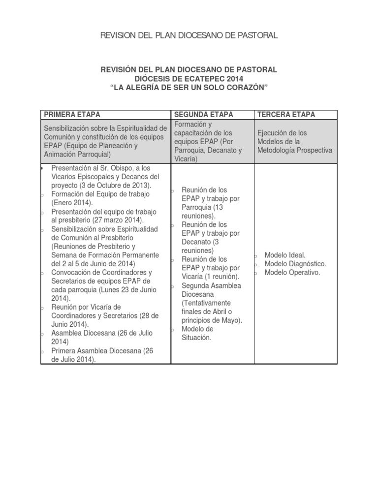 Revision Del Plan Diocesano de Pastoral | PDF | obispo | Agitación