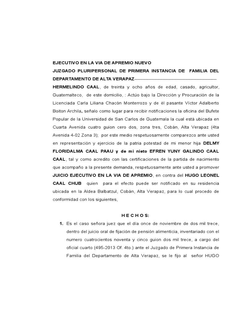 Memorial de Demanda Ejecutivo en La Via de Apremio Hermelindo Caal | PDF |  Pena capital | Desviación (sociología)