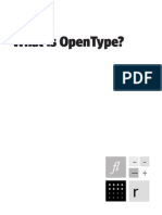What is Open Type