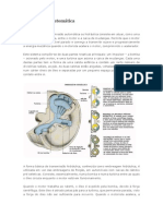 Transmissão Automática PDF