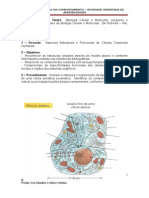 Atividade de Aprendizagem 1 - Bases Biol. Comp_20140311105749