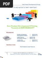 Download New Product Development Report by Faseeh-Ur-Rehman SN23512347 doc pdf