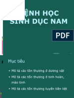 Sinh Duc Nam
