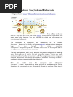 Difference Between Exocytosis and Endocytosis